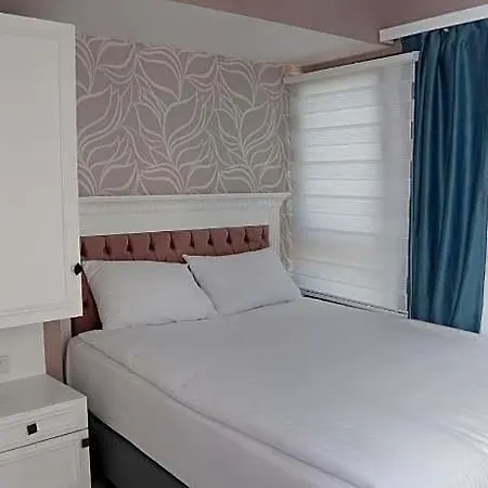 Novus 3*